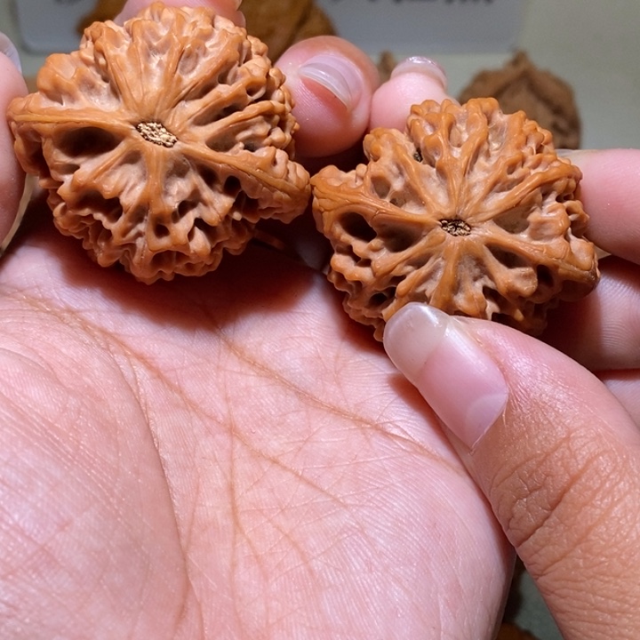 止***水核桃手串/手链亲们