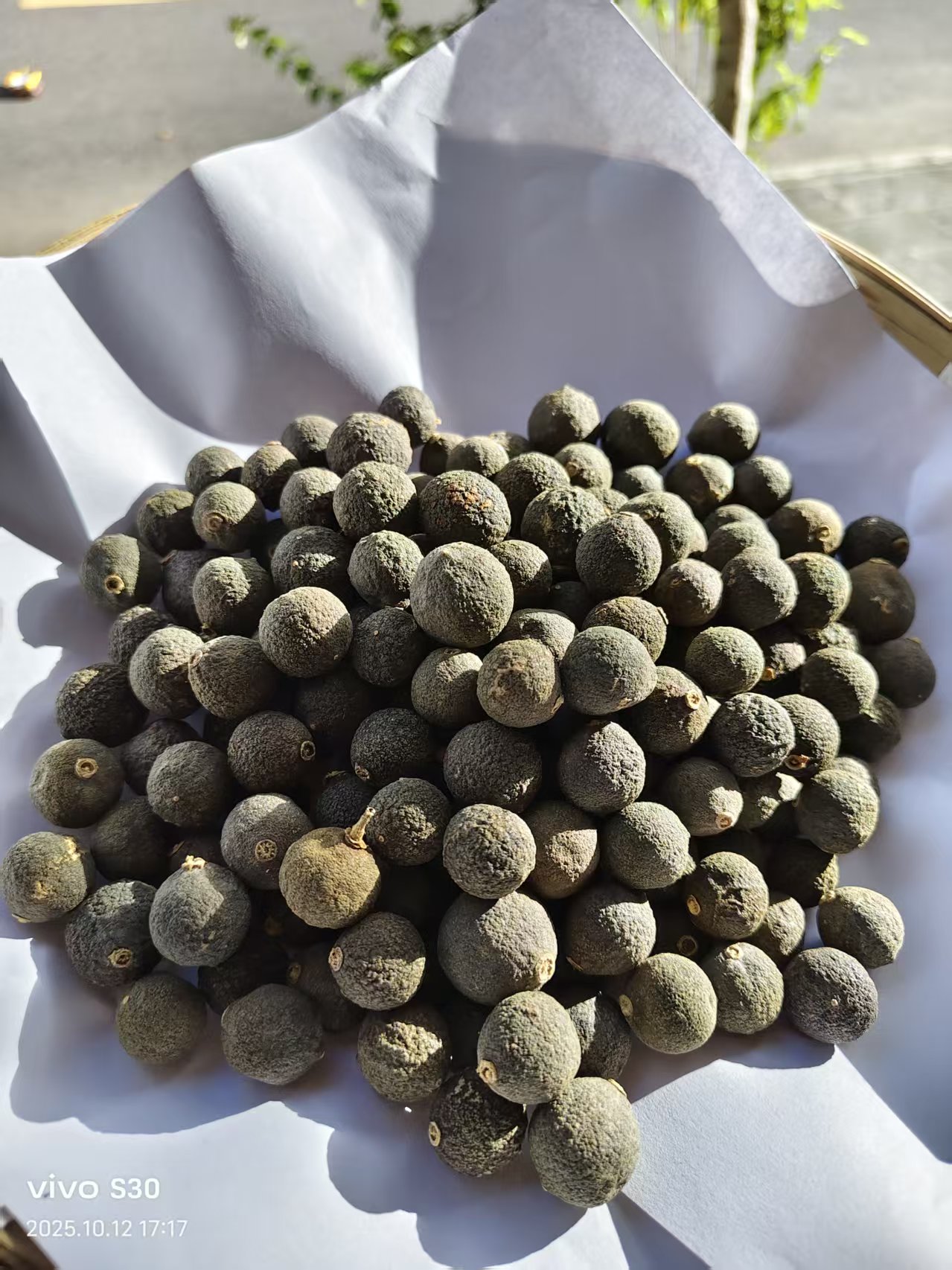 【小廖】云南大山好货--胎--橘--红  泡水   煮水 西洋参