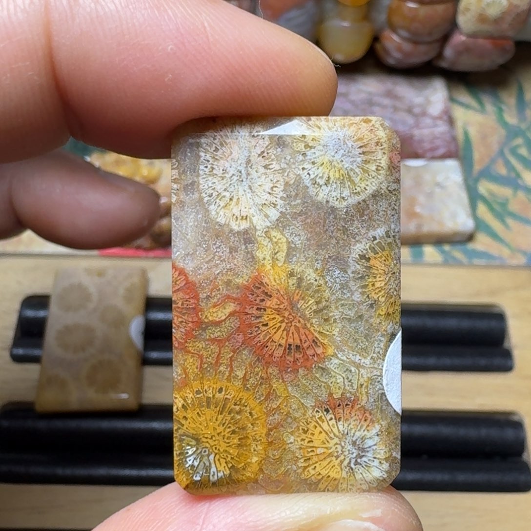 硅化玉天然有机玉石保真色未镶嵌