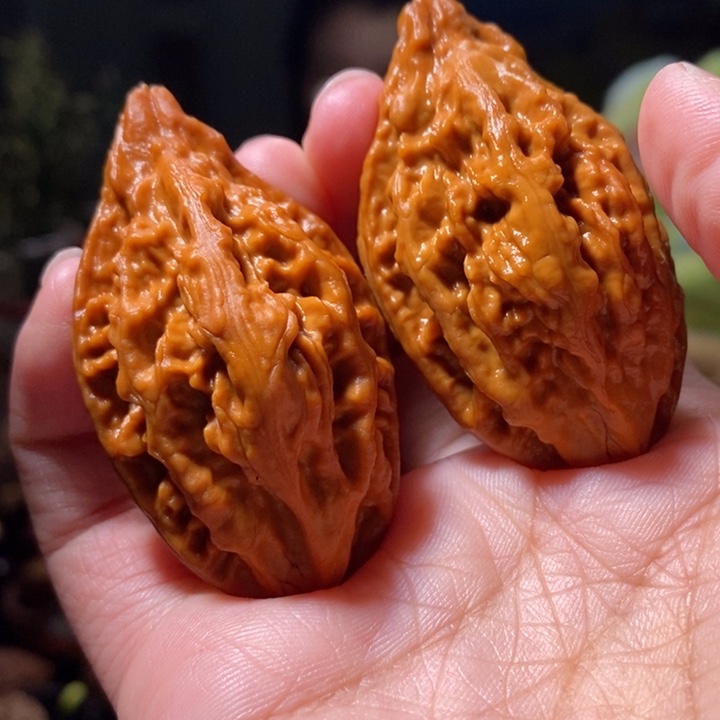 把件文玩核桃东北楸子小路 229