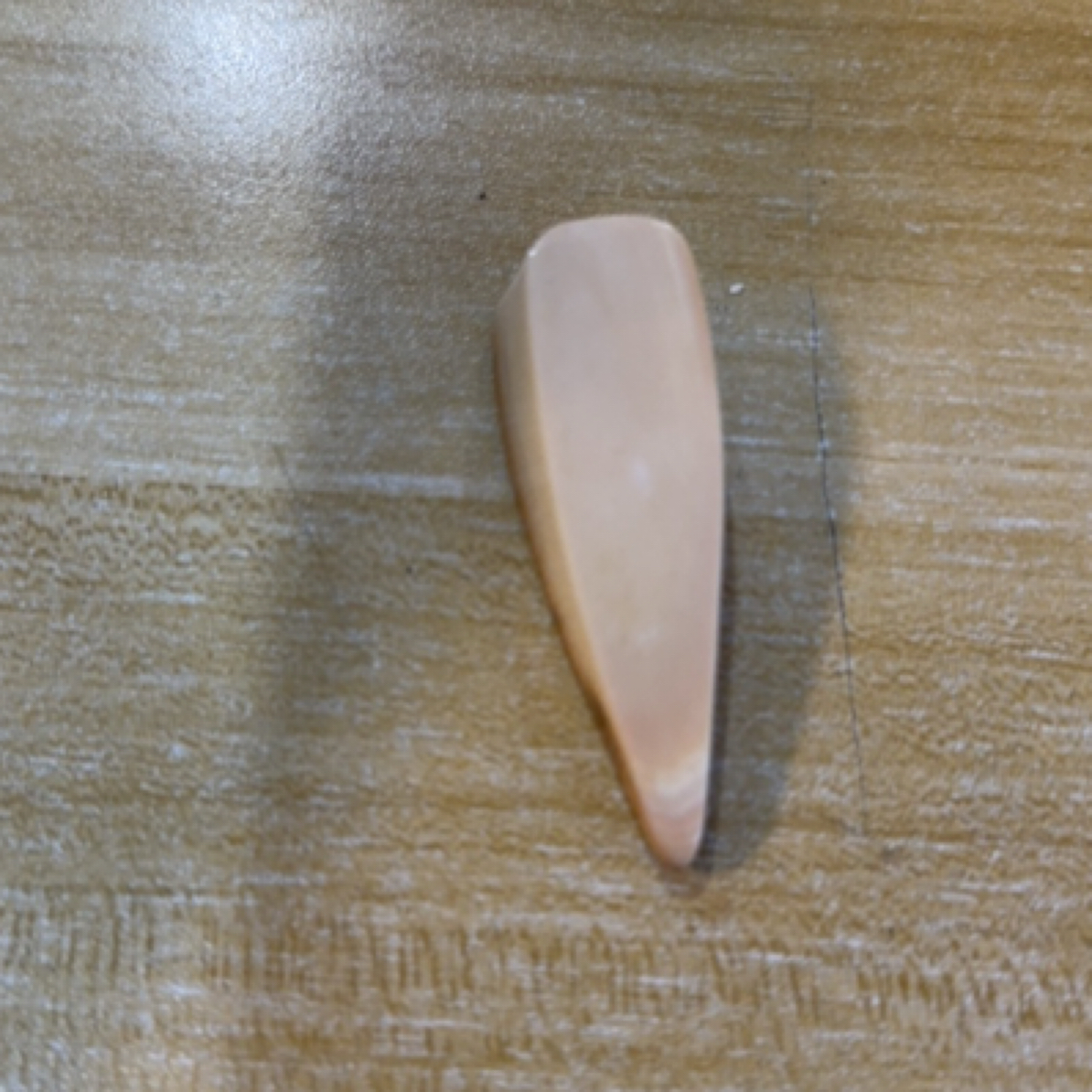 猛犸猛犸雕刻牌BC664