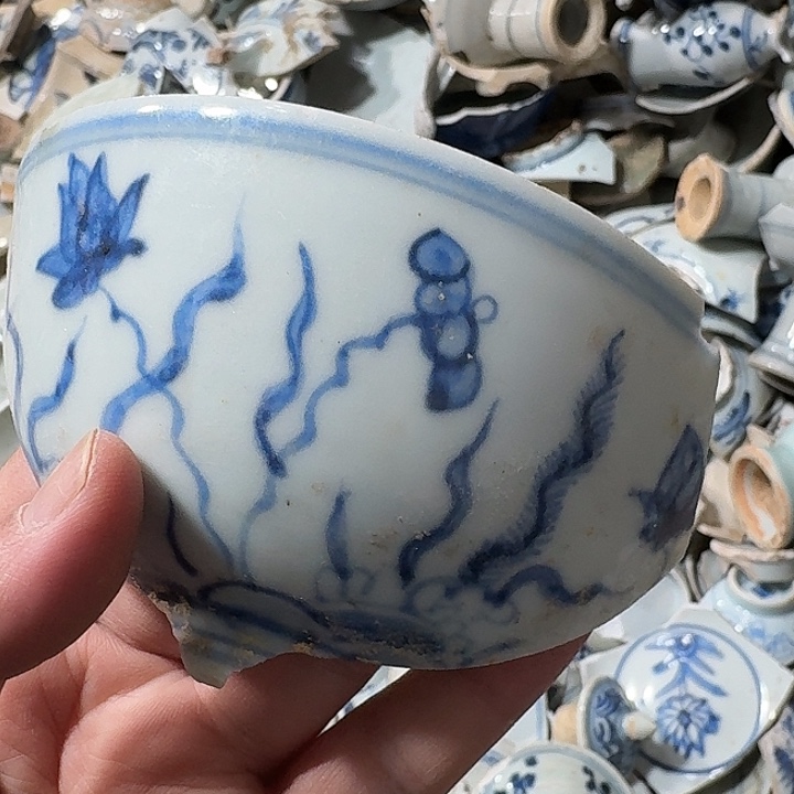 文***冕瓷片瓷片标本，顺丰包邮