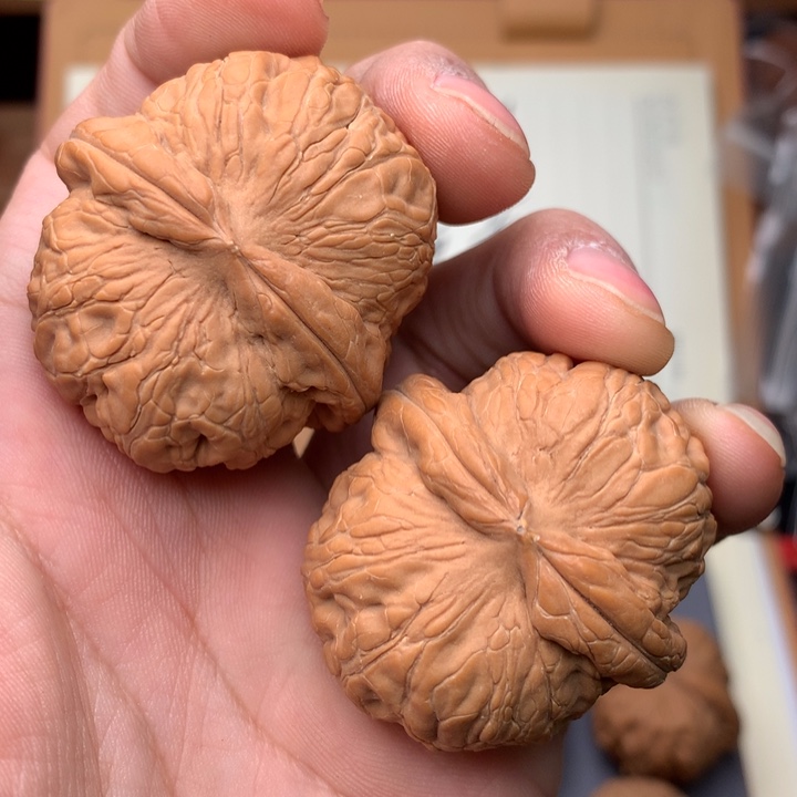 桃核把件陈*43尺寸文玩核桃/元宝