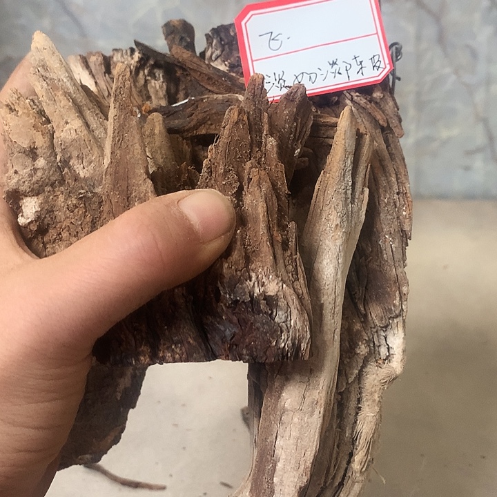 阿***籍大叶紫檀（黑酸枝木类）