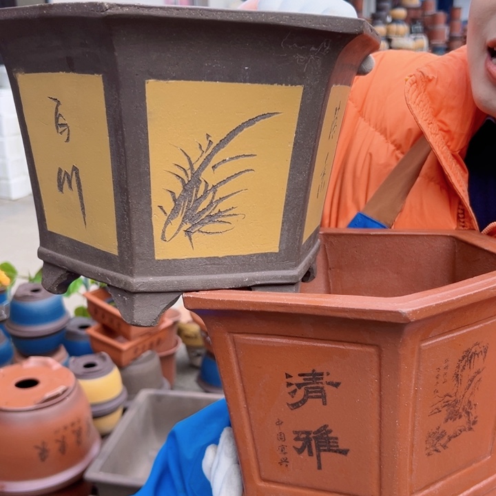 25红清雅六方和25黄六方花盆花盆