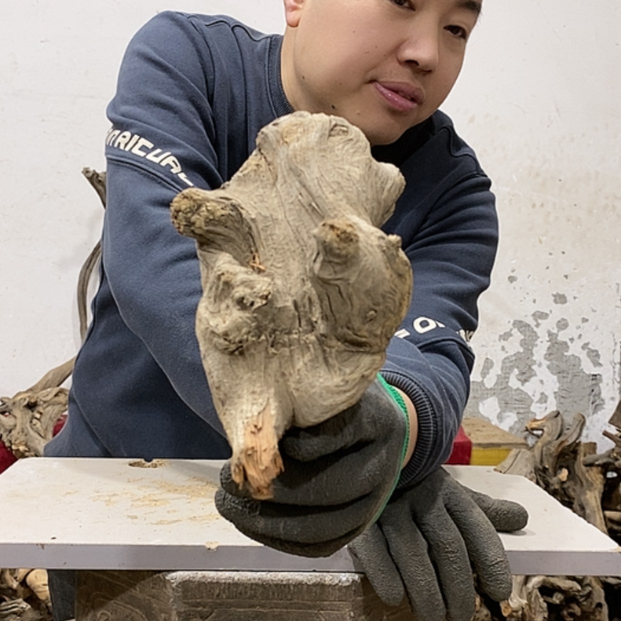 【闪购商品】柏木用****0我们都是好孩子