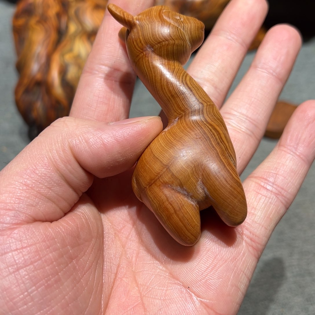 太行崖柏陈化太行