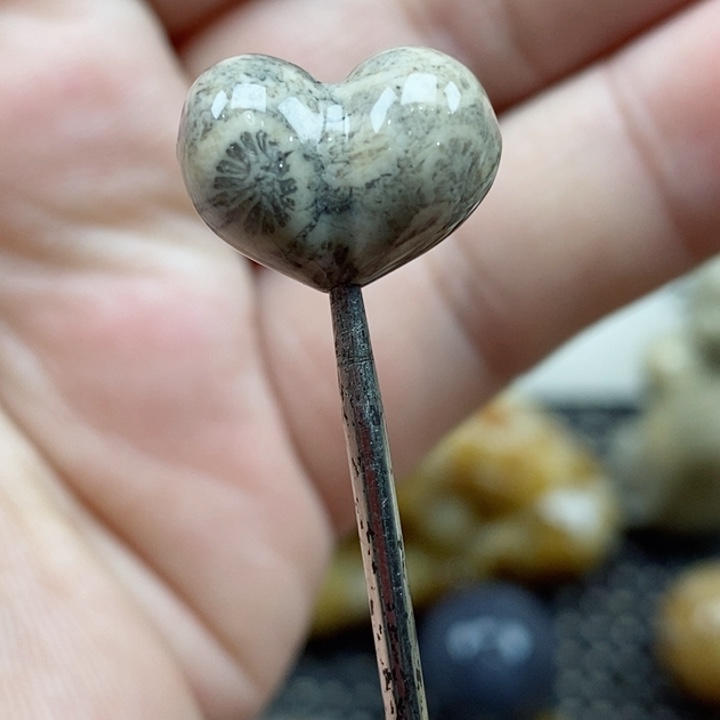 颈饰未镶嵌硅化珊瑚（珊瑚玉）小