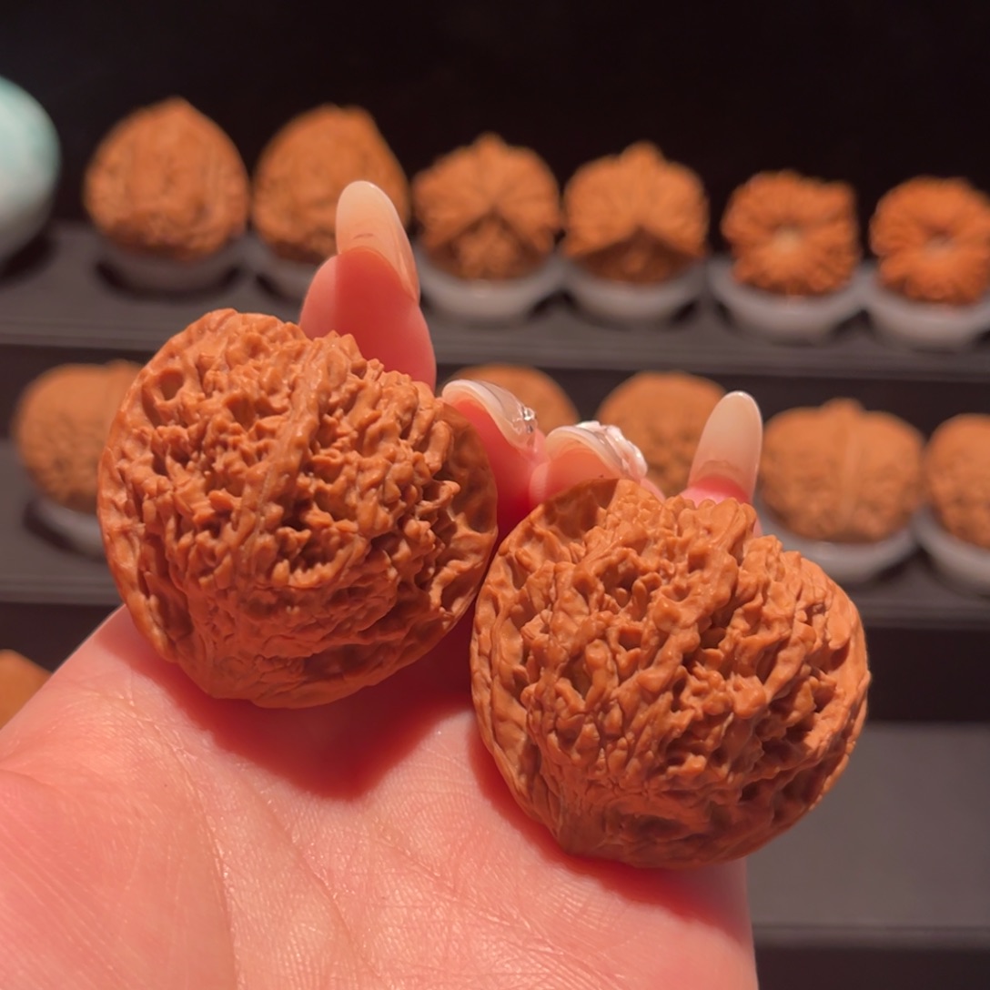 满天星39，精品，货头