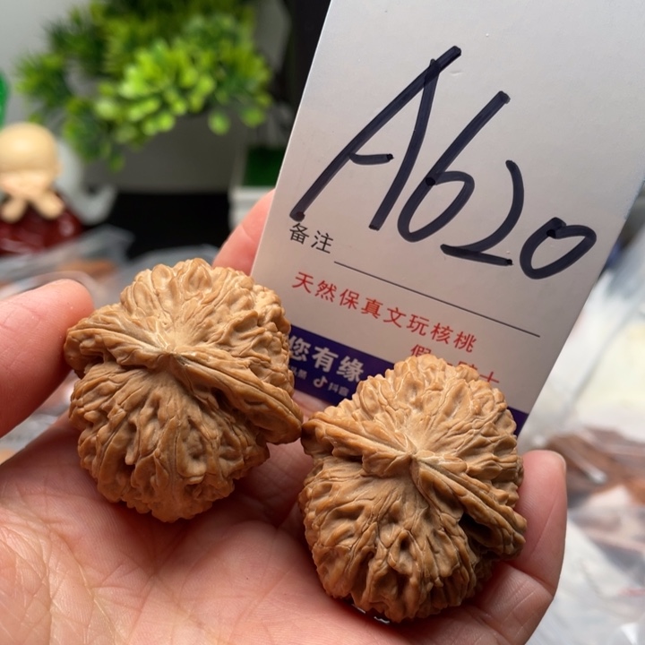 桃核把件文玩核桃123456789