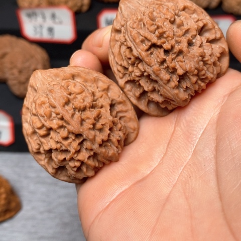 杰***特文玩核桃全品满天星40