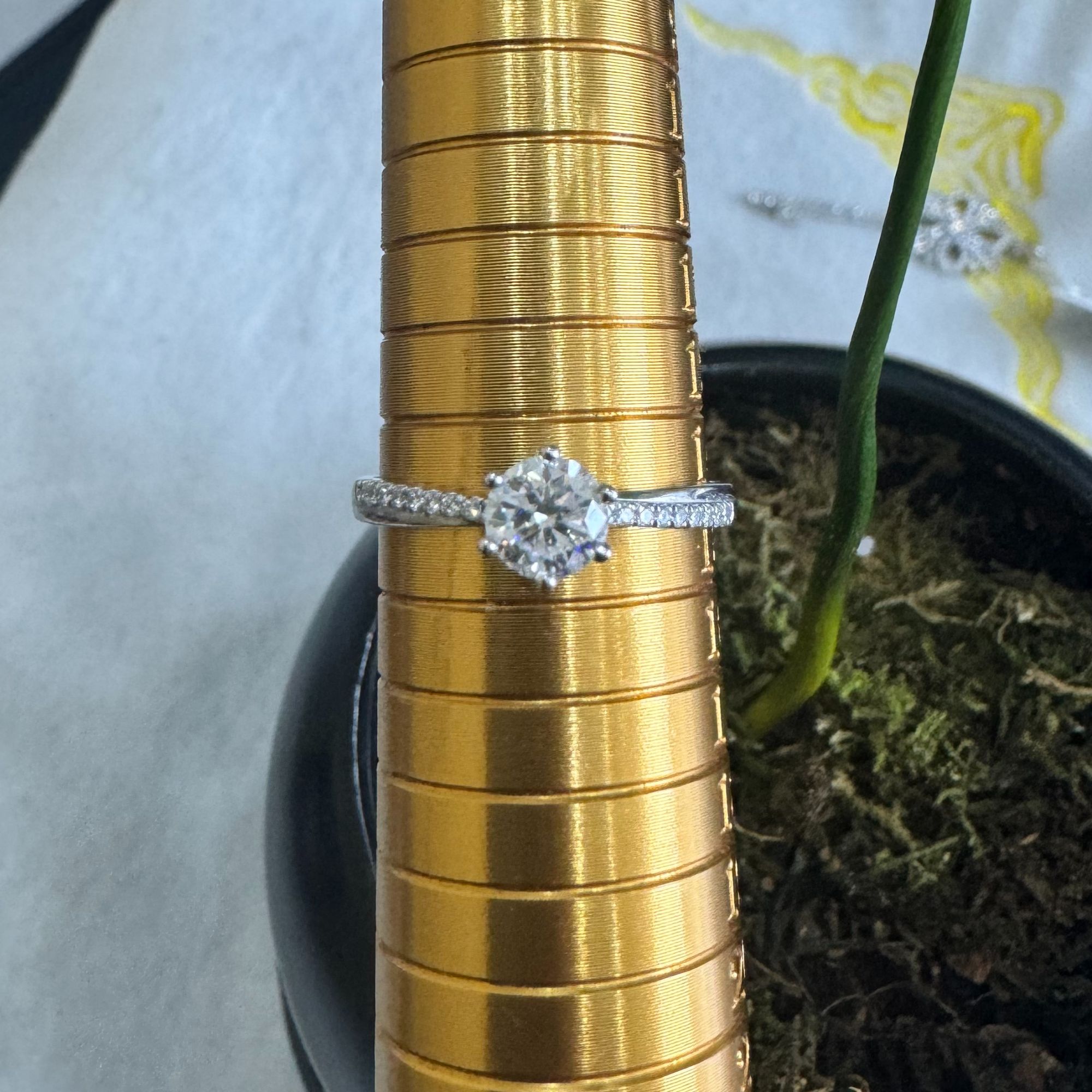 铂金镶嵌戒指Z008