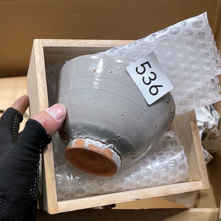 茶宠我们都在努力着改变