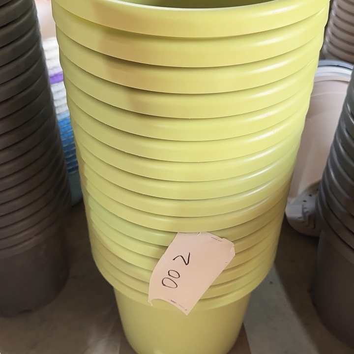 有色差5#果绿6个无托