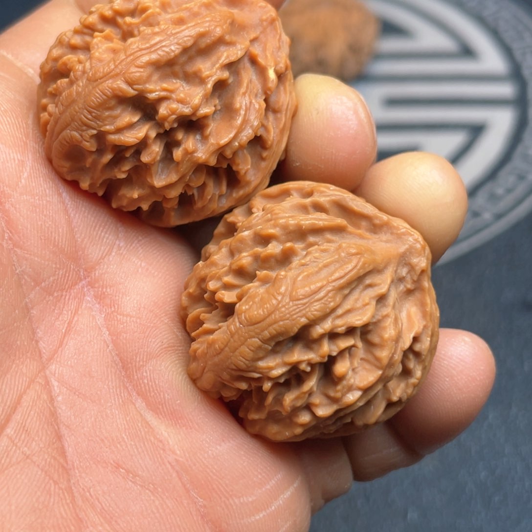 文玩核桃把件51号555555