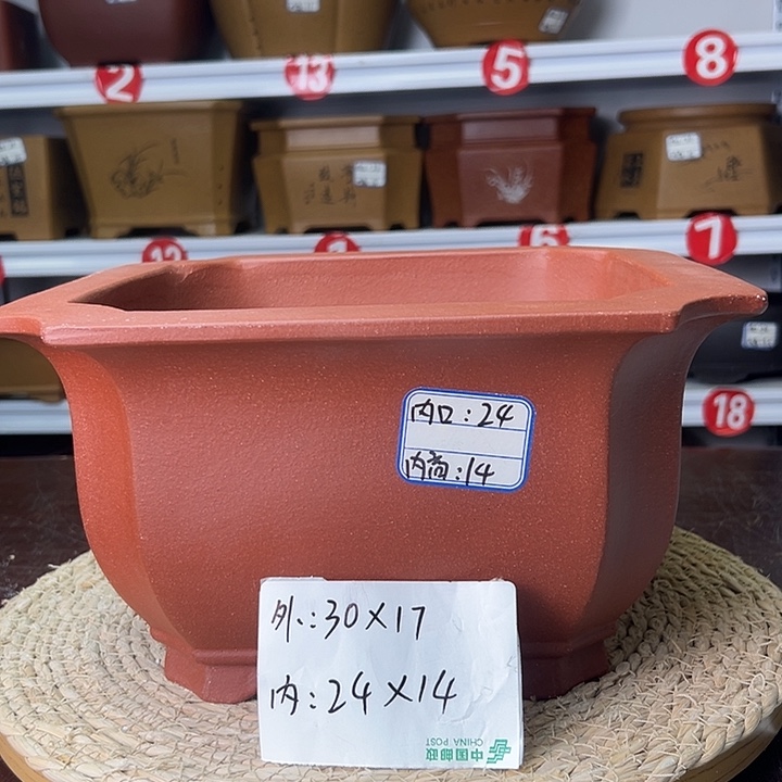 紫砂花盆蛇年大吉