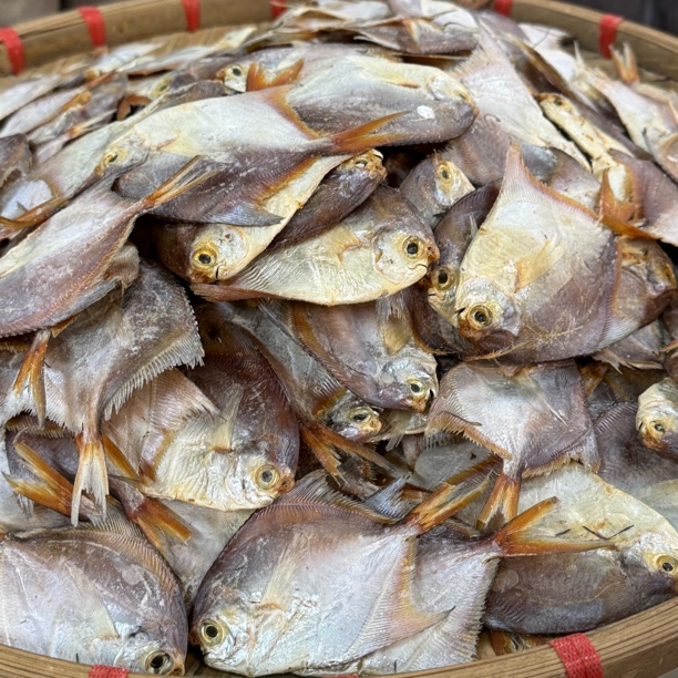 金仓鱼干仔 蒸好吃