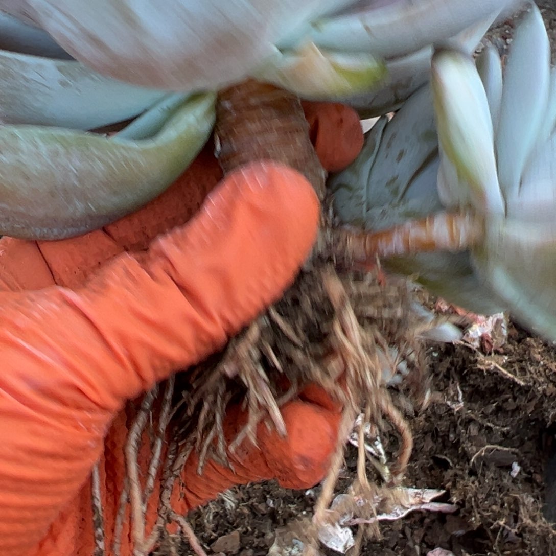 ღ****wofallolljlljlljl