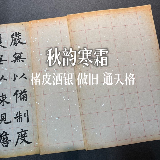 秋韵寒霜 褚皮洒银做旧 古风宣纸日课作品纸半生熟小楷纸拍三送一