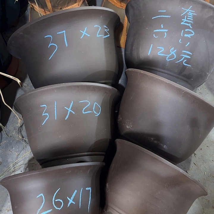 两套六只福利价    