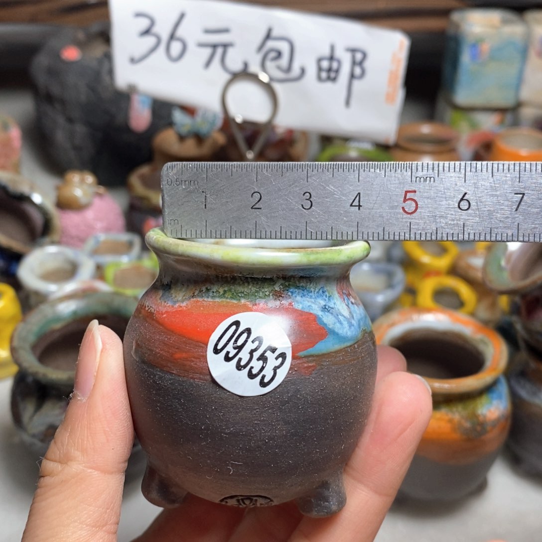 拍5送一个小礼物