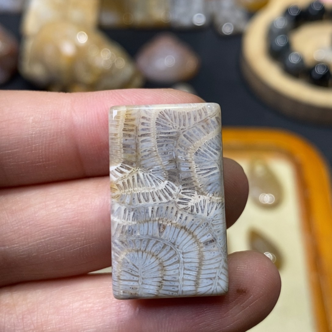 【闪购商品】硅化玉珊瑚玉未镶嵌