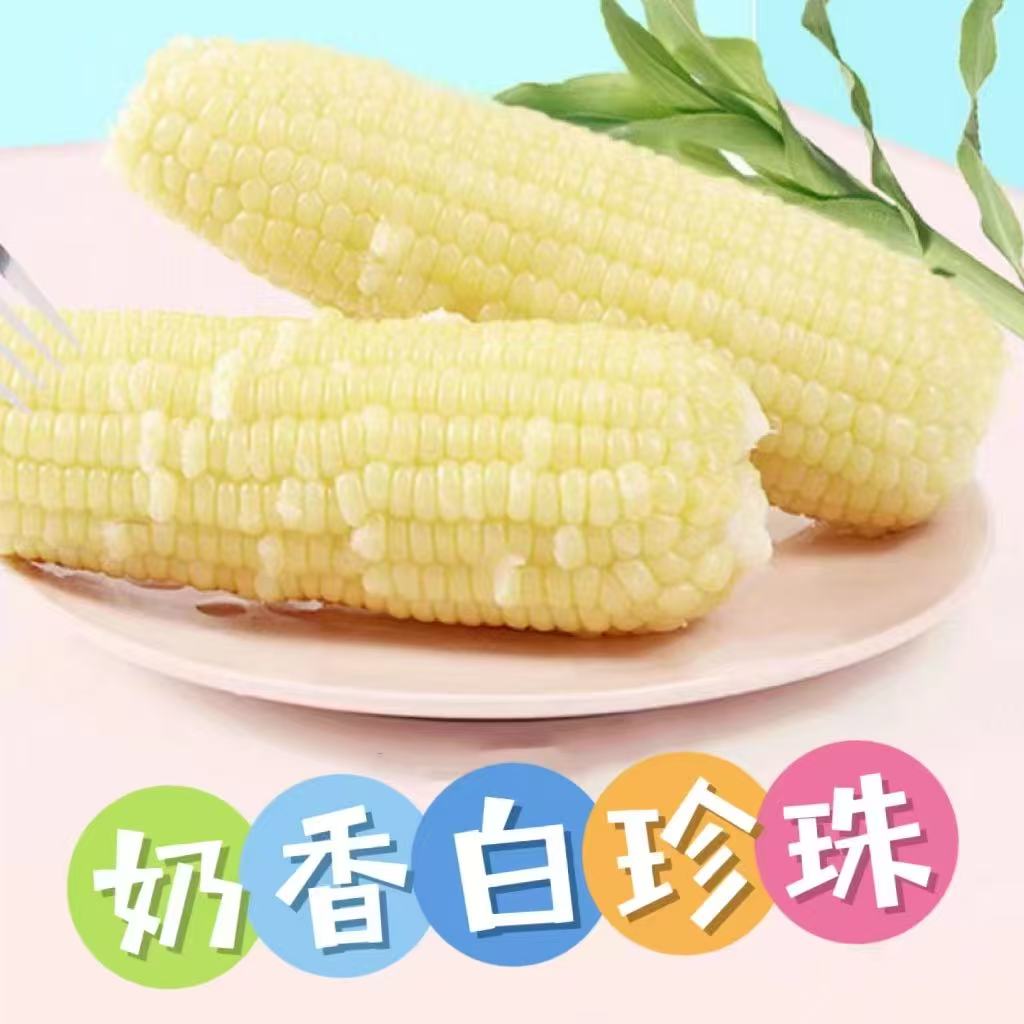 【试吃5根】东北新鲜香甜白糯玉米真空包装14根大棒整箱8斤