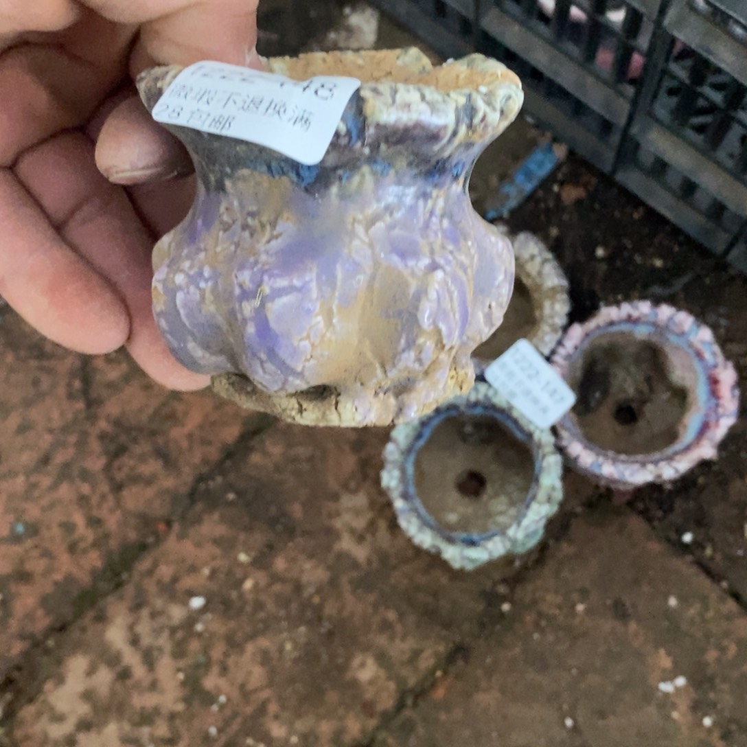 s***y148号花盆福利啦了