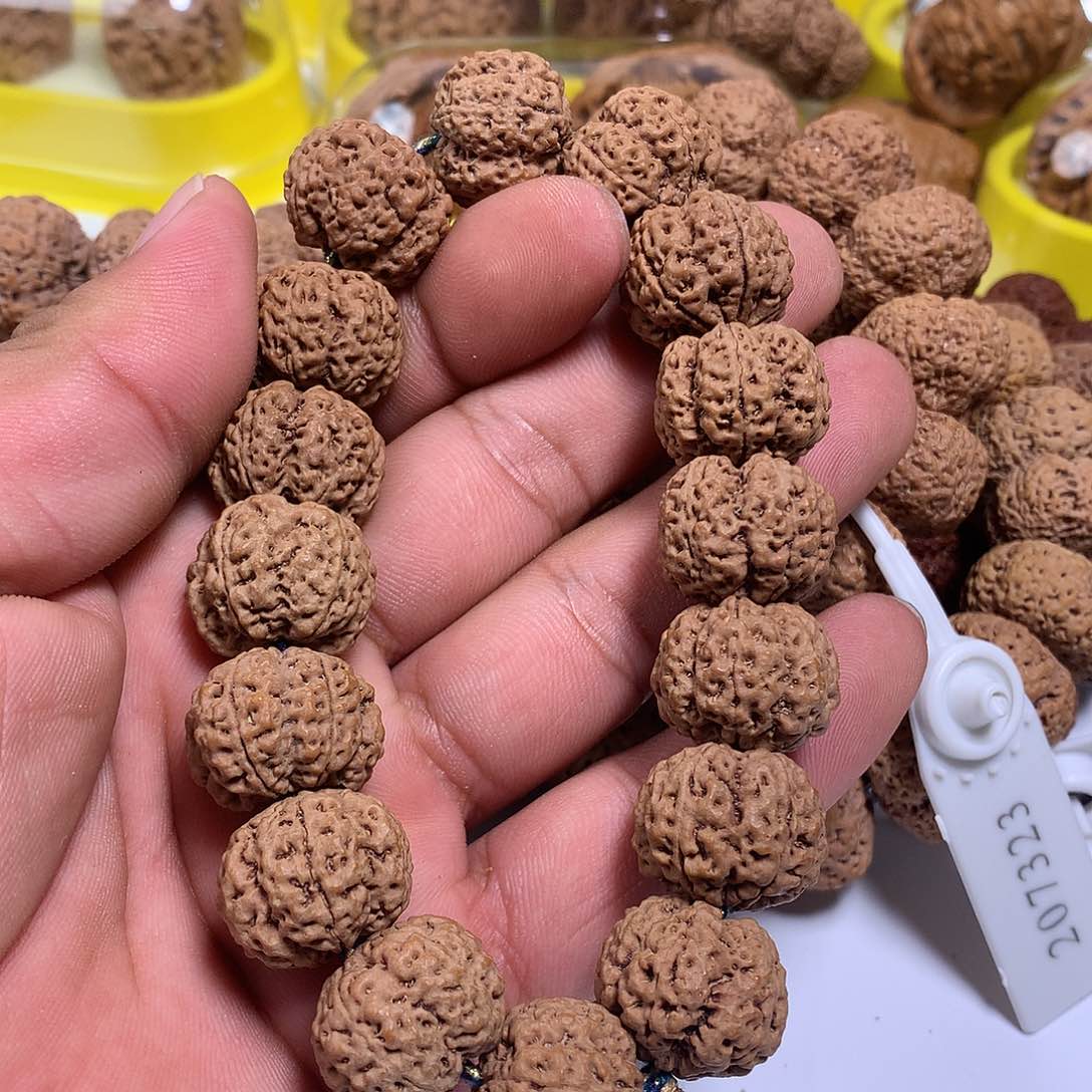 金刚菩提吊坠?****?588888888