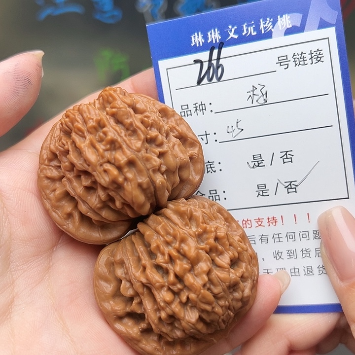 文玩核桃吊坠核桃树266