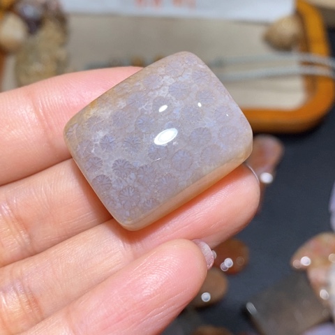 【闪购商品】硅化玉吊坠(不含链)未镶嵌