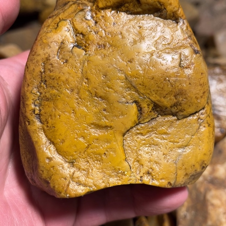 田黄石675克昌化田黄石