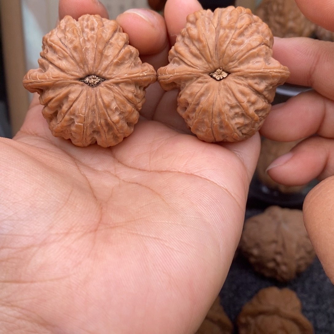 文玩核桃把件39.5血麒麟