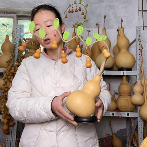 天然植物葫芦文玩