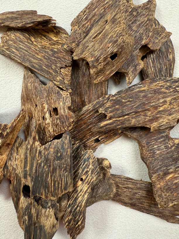 沉香天然野生沉香越南芽庄虫漏6克装