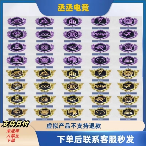 ◆吃鸡游戏◆苹果专区追光战队服 5级金标 4级紫标 精英币