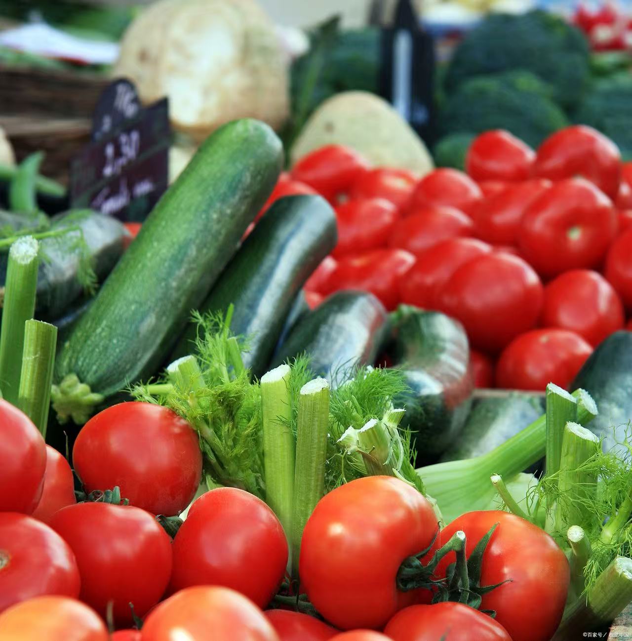 东北农家蔬菜 吉林包邮