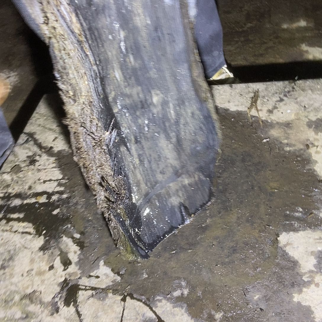 金丝楠阴沉木毛料