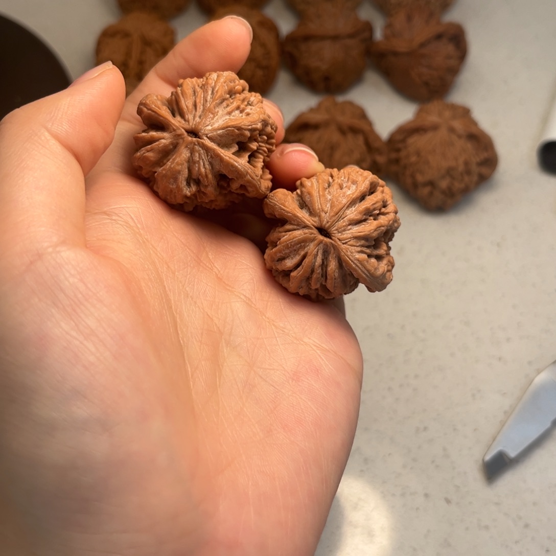 糖***猫大叶紫檀（黑酸枝木类）