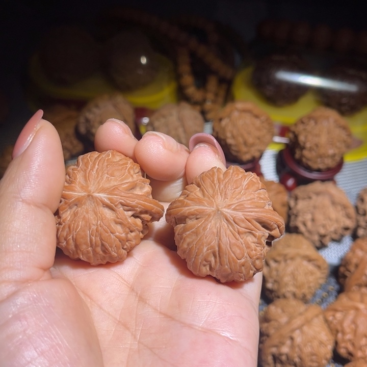 山***.大叶紫檀（黑酸枝木类）