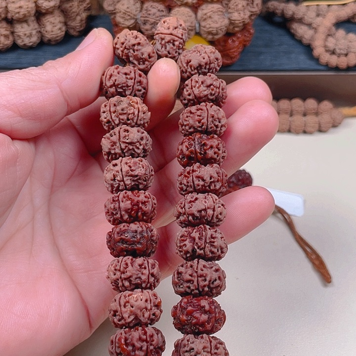 金刚菩提手串18mm天然纽扣