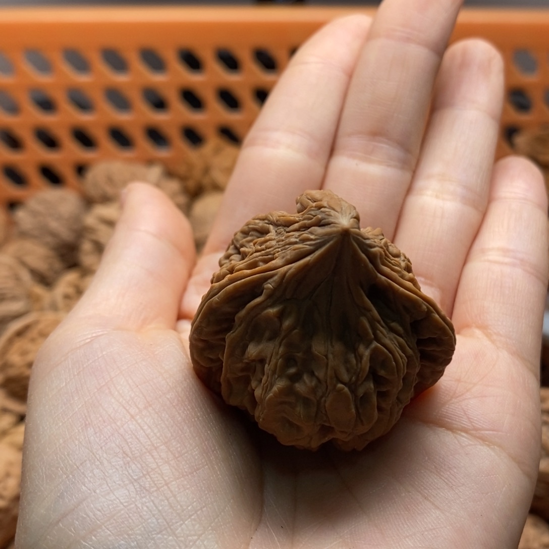 熬***狗核桃定制商品不退不换