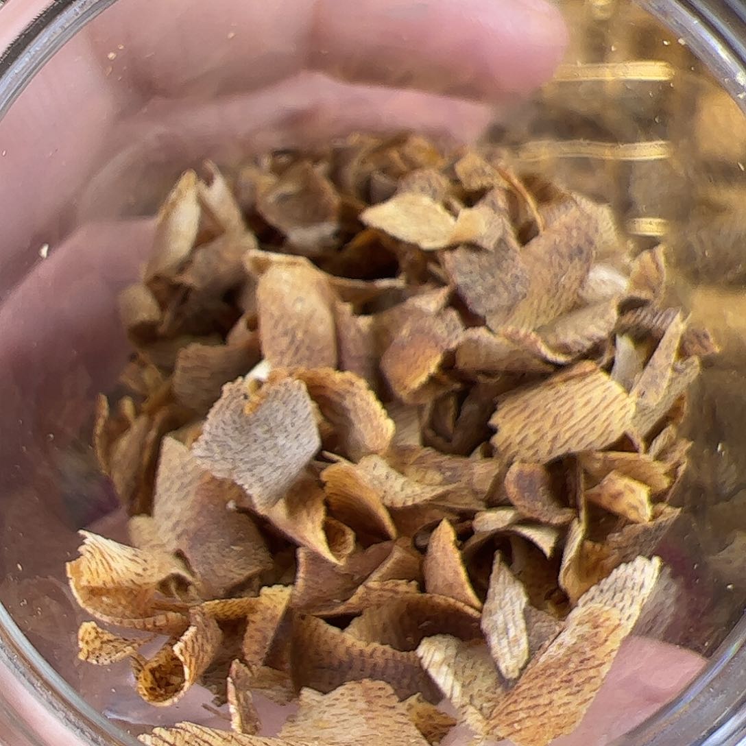 沉香沉香碎屑白棋沉香切片6克