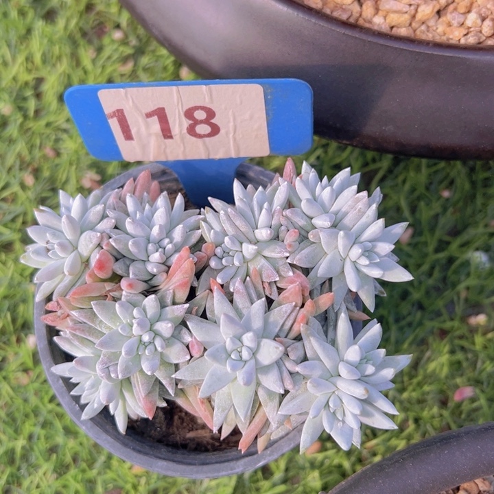 健健康康平平安安