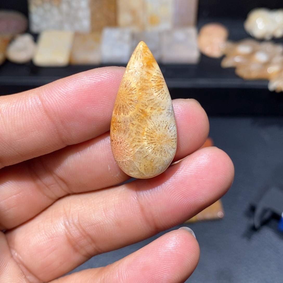 【闪购商品】硅化玉颈饰未镶嵌