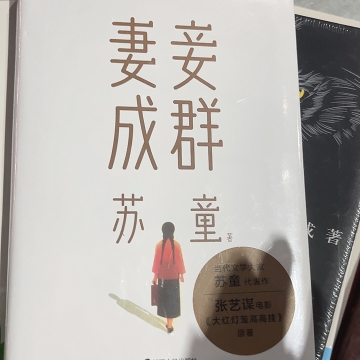 妻妾成群新书推荐精装