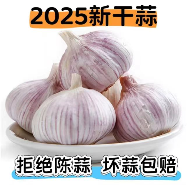 今年新干蒜5斤大蒜头农家新大蒜头大份起紫白皮大蒜当季蔬菜整箱
