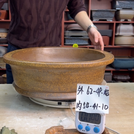 亮***紫砂花盆中香气浓重者