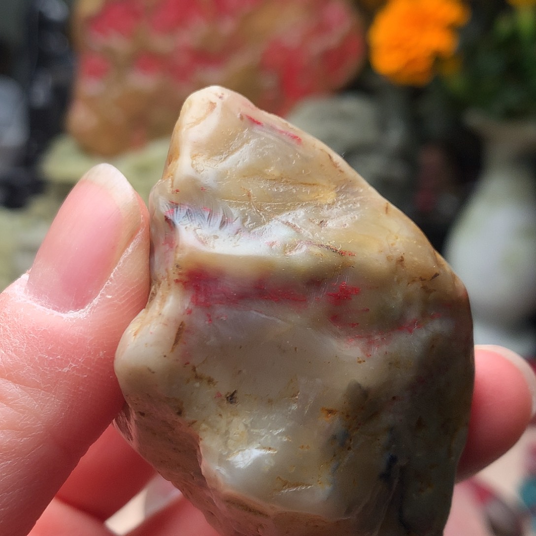 昌化石田黄鸡血石原石