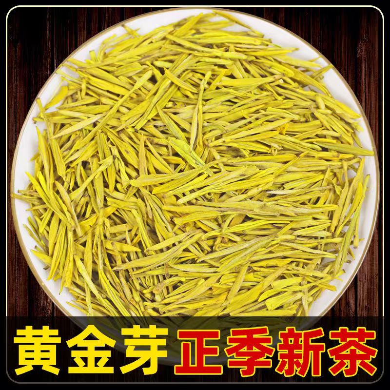 2025新茶黄金芽绿茶茶叶250克